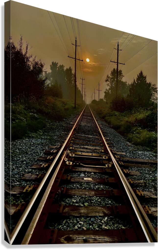 Perfect Timing Canvas Print