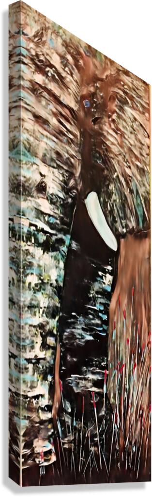 I wish... Canvas Print