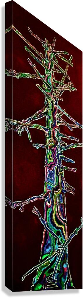 Reincarnation Canvas Print