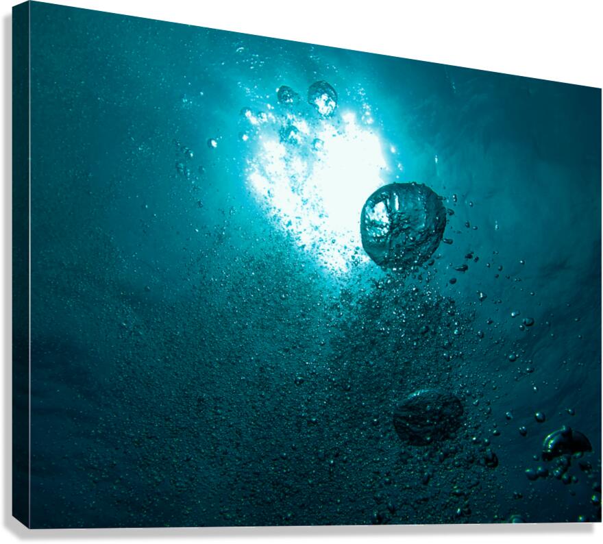Ascent Canvas Print