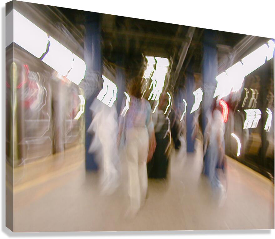 Transition Canvas Print