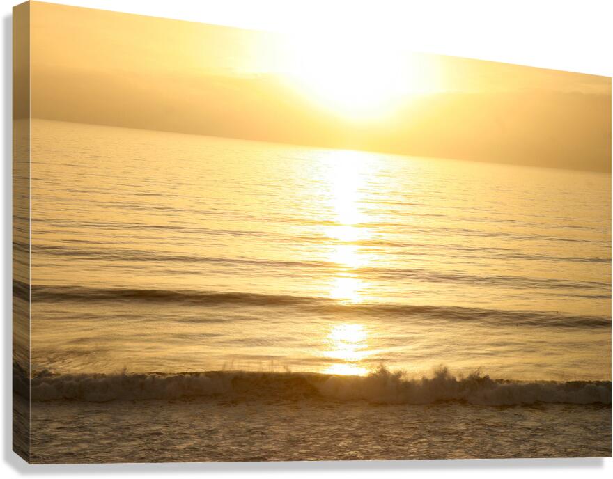 Aurum Canvas Print