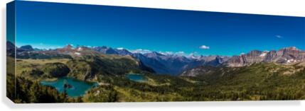 Sunshine Meadows Canvas Print
