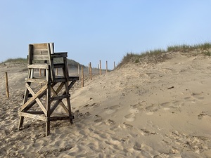 Off-Season Lifeguard 