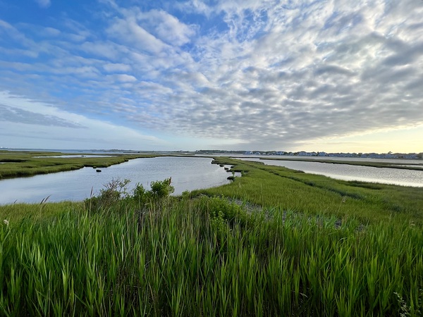 Fenwick Wetlands by Jason Prescott