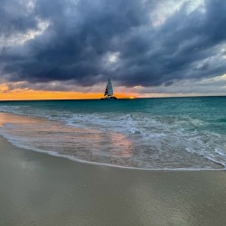 Aruba Nights