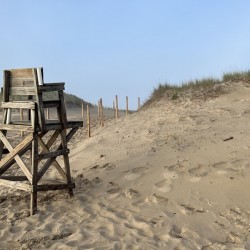 Off-Season Lifeguard 