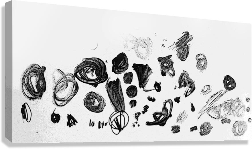 important Canvas Print