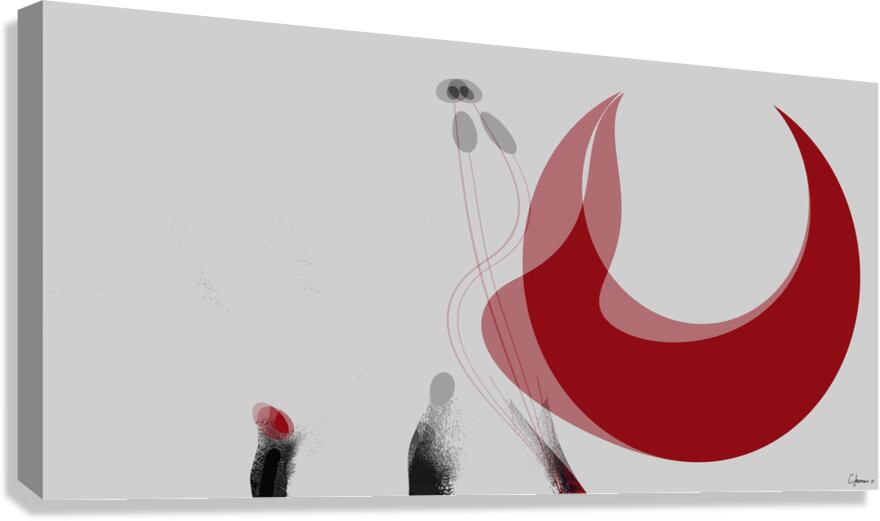 reddancer1632 Canvas Print