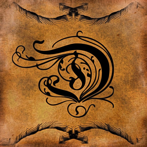 Beautiful Monogram Letter D by George Cuda