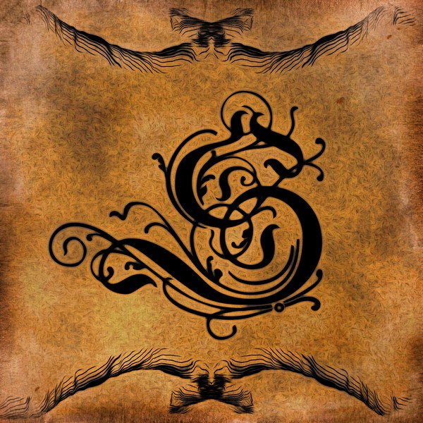 Beautiful Monogram Letter S by George Cuda