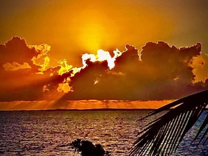 Twilights Embrace: Ocean Sunset Romance