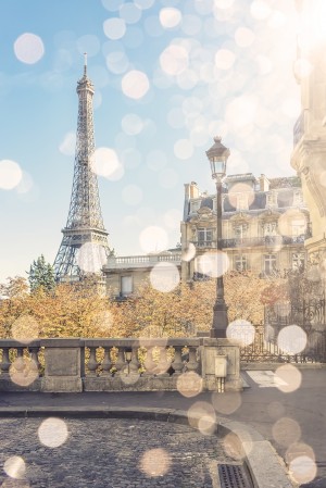  Beautiful Paris