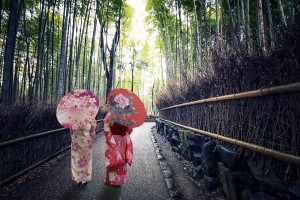 Bamboo forest in Kyoto