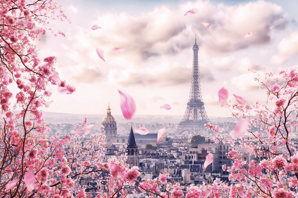 Pink Paris Print