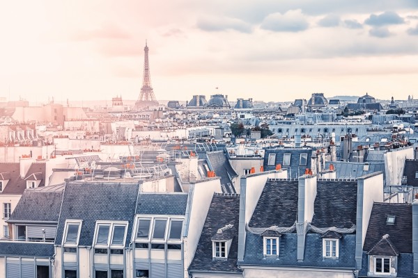 Paris roofs Print