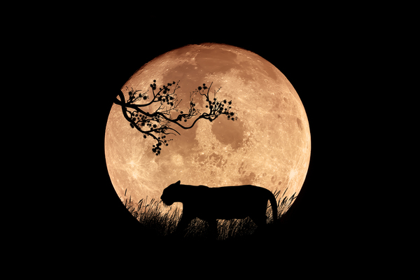 Full Moon Print