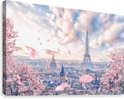  French sakura Canvas Print
