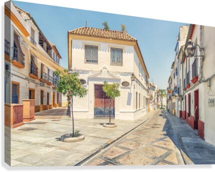 41°c Canvas Print