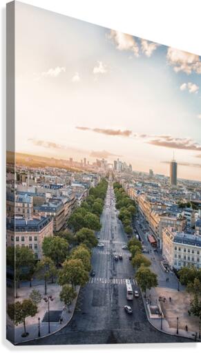 Paris Canvas Print
