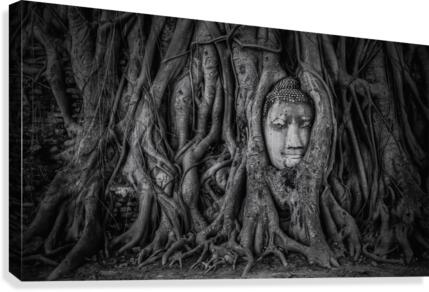 Ayutthaya Canvas Print
