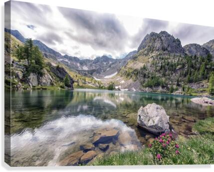 Trecolpas Canvas Print
