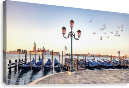 Birds flight Canvas Print