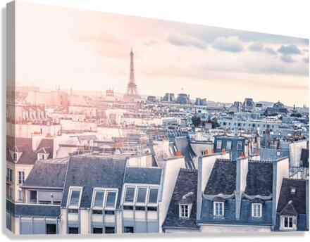 Paris roofs Canvas Print