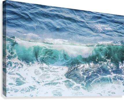 The wave Canvas Print