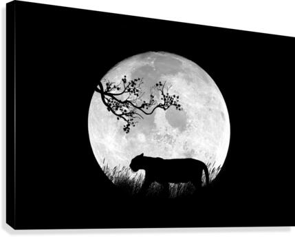 Full Moon Canvas Print