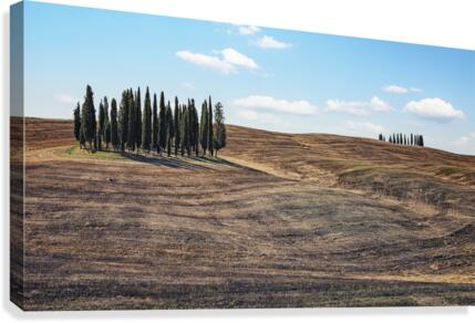 Tuscany Canvas Print
