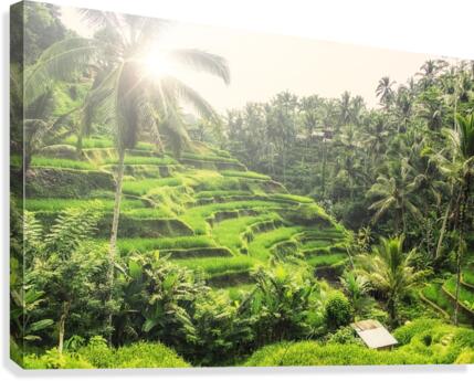 Tegalalang Canvas Print