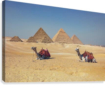 Giza Canvas Print