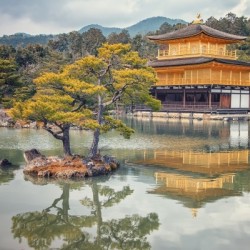 Kinkaku-ji 