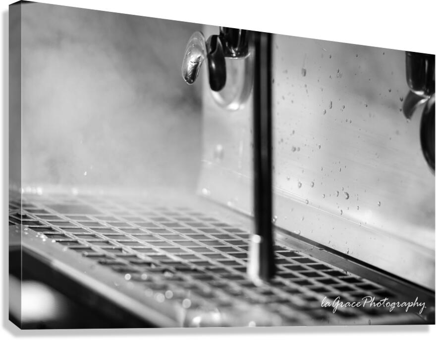 STEAM Canvas Print