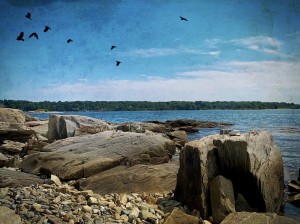 Peaks Island  ME