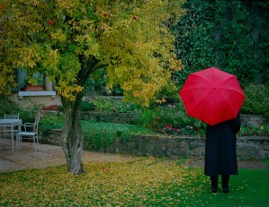 Red Umbrella F