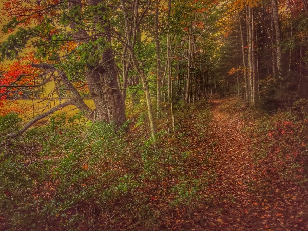 Bath  Maine by Kevin R Schochat
