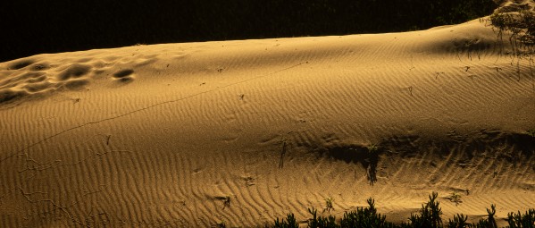 Dunes by Kevin R Schochat