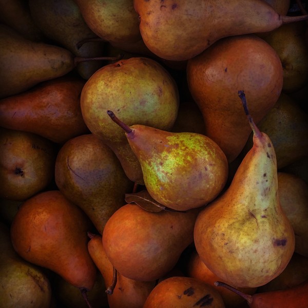 Pears F by Kevin R Schochat