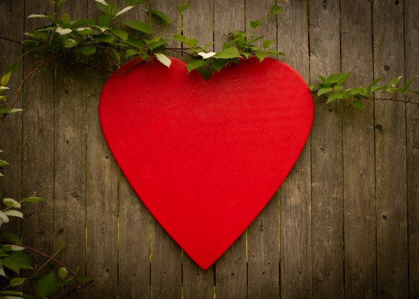 Red Heart Final by Kevin R Schochat