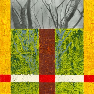Far Distant Spring