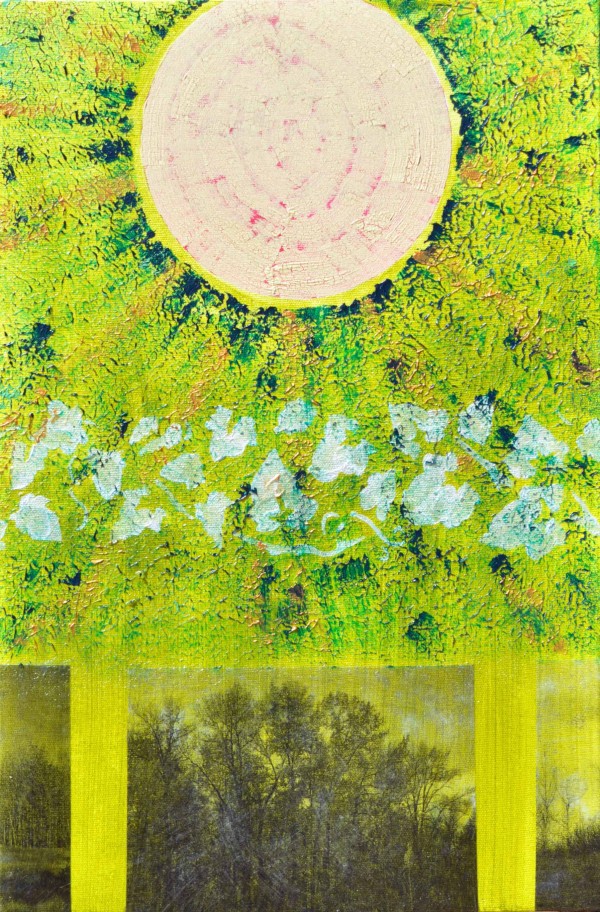 Revealed in Splendour Print