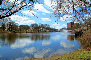 Branch Brook Down the Lake
