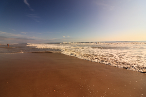 NC12 Beach Morn WaveLine