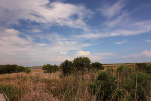 NC12 The Marsh at Bodie Island