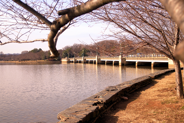Bridge View Print