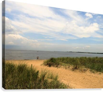 Beach Path Canvas Print