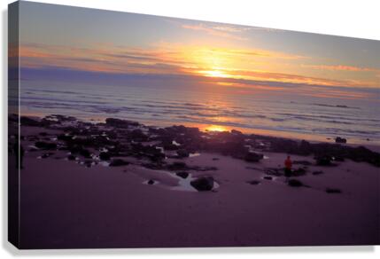Sun Break Canvas Print