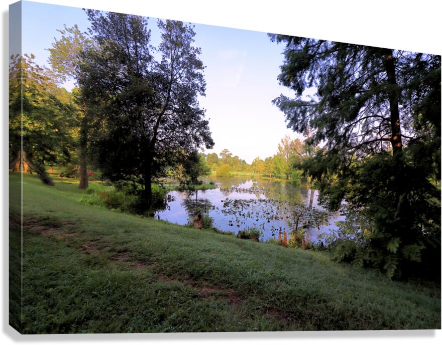 Entrance Canvas Print